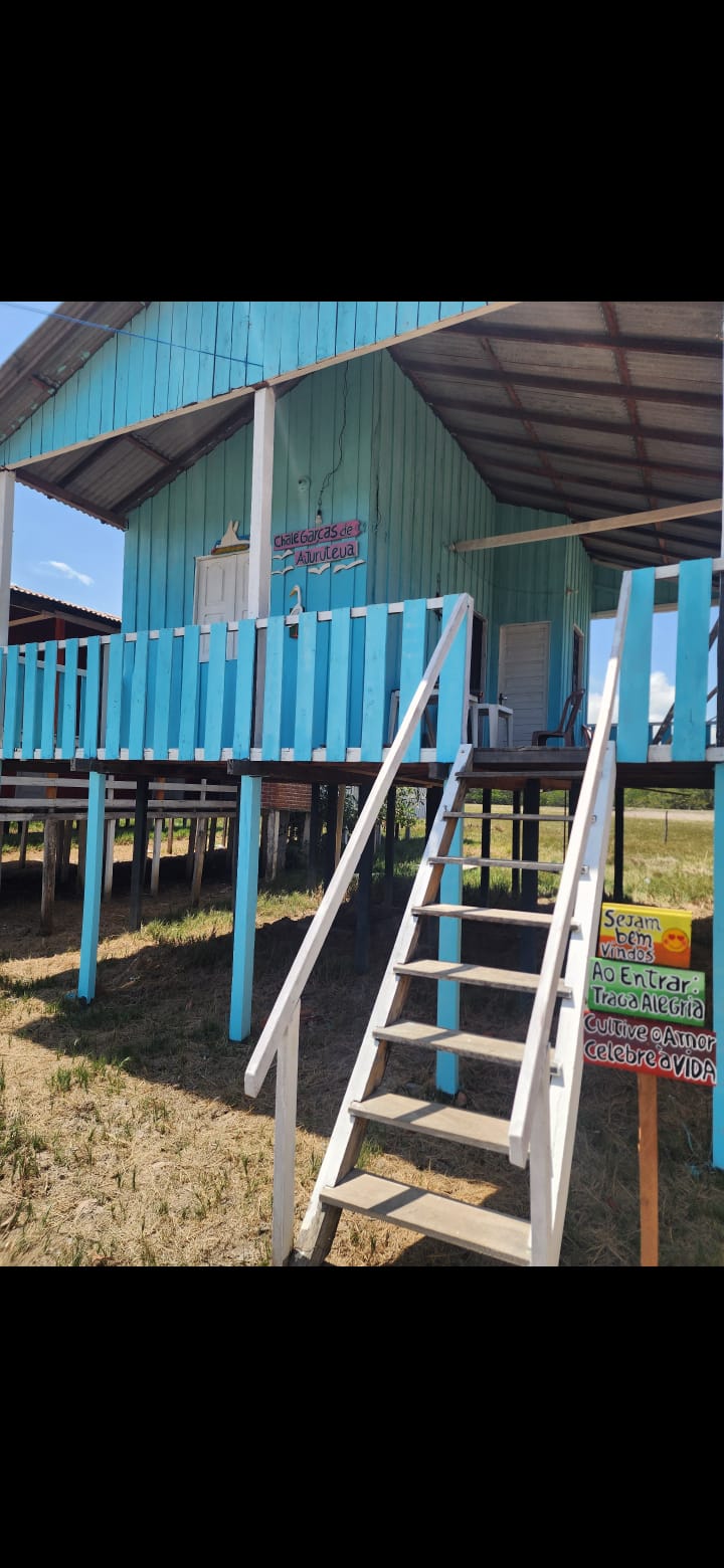 Foto do garças de ajuruteua