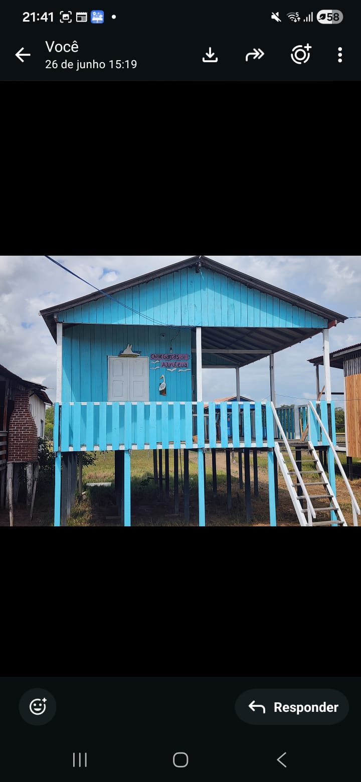 Foto do garças de ajuruteua