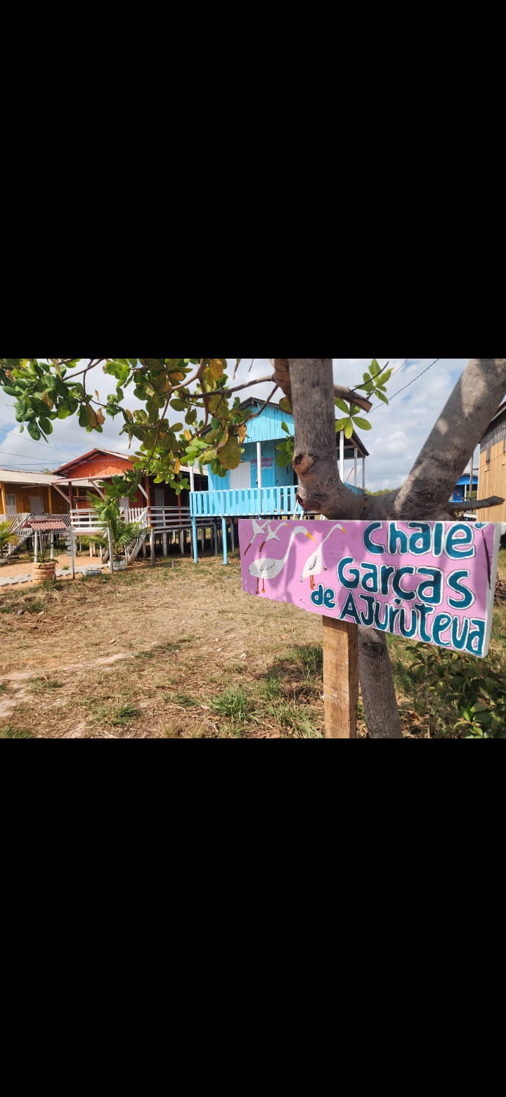 Garças de Ajuruteua